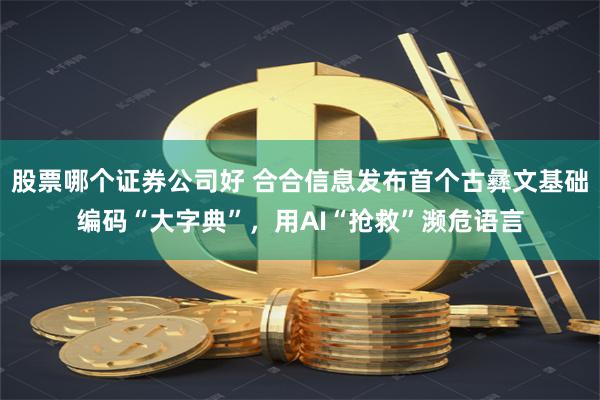 股票哪个证券公司好 合合信息发布首个古彝文基础编码“大字典”，用AI“抢救”濒危语言