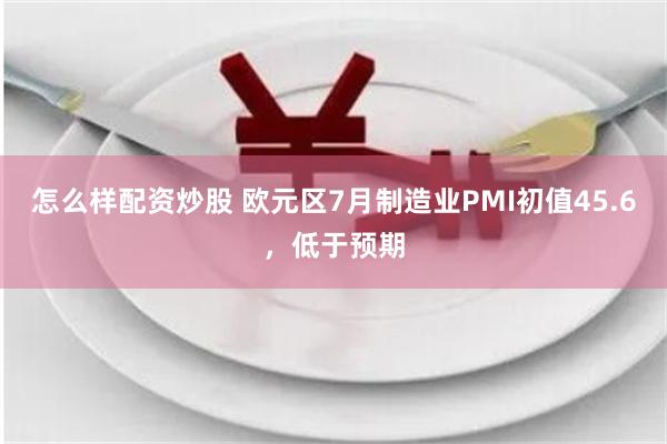 怎么样配资炒股 欧元区7月制造业PMI初值45.6，低于预期