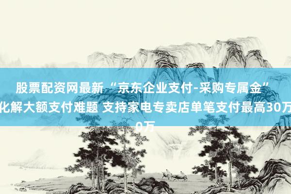 股票配资网最新 “京东企业支付-采购专属金” 化解大额支付难题 支持家电专卖店单笔支付最高30万