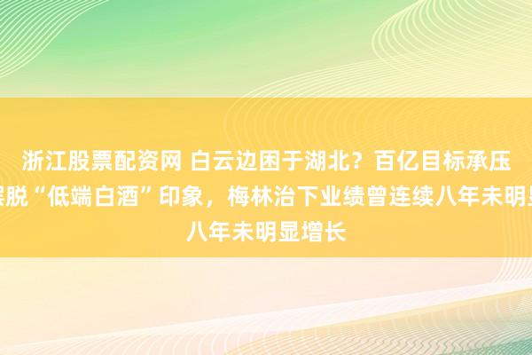 浙江股票配资网 白云边困于湖北？百亿目标承压，难摆脱“低端白酒”印象，梅林治下业绩曾连续八年未明显增长