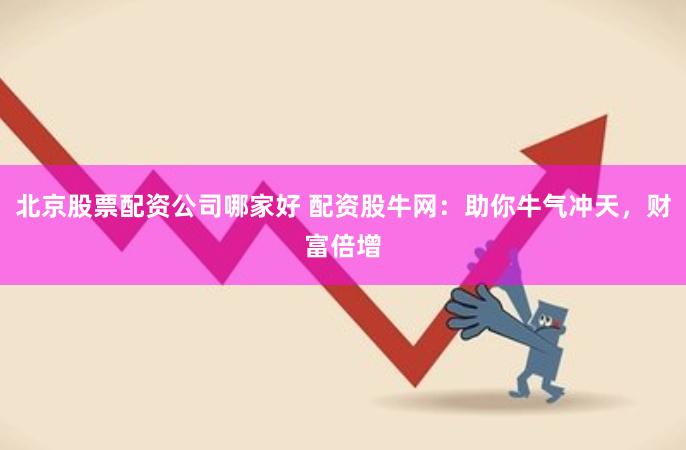 北京股票配资公司哪家好 配资股牛网：助你牛气冲天，财富倍增