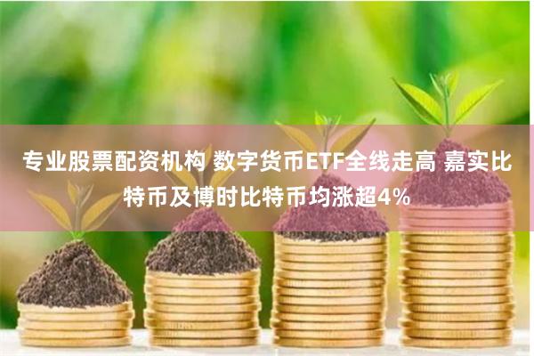 专业股票配资机构 数字货币ETF全线走高 嘉实比特币及博时比特币均涨超4%